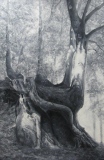 Leimern 16, 97x146, huile - Leimern