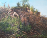 Leimern, printemps, huile, 100x80 - Leimern