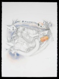 Moto 9 , 58x76, crayon/aquarelle - Moto et vélo