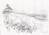 Mutigny 2, 29x21, crayon - Vendanges en Champagne, dessins