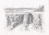Mutigny 3, 29x21, crayon (vendu) - Vendanges en Champagne, dessins