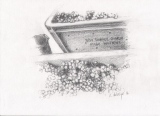 Mutigny 9, 21x29, crayon (vendu) - Vendanges en Champagne, dessins