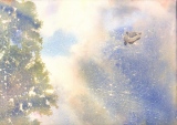 Canard 1 (rongé), 45x32, aquarelle - Aquarelles diverses