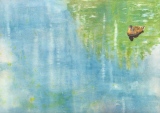 Canard 2 (rongé), 45x32, aquarelle - Aquarelles diverses
