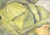 Chou et ognigon, 45x32, aquarelle - Aquarelles diverses