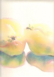 Coing, 33x45, aquarelle - Aquarelles diverses