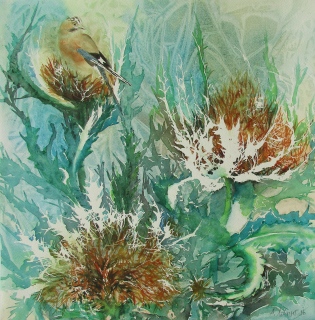 Eichelhäher und Distel 3, aquarelle,  37x37 - Aquarelles diverses