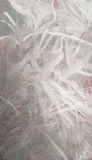 Chaos, huile, 114x198 (1) - La genèse de l'oeuvre 