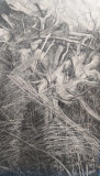 Chaos, huile, 114x198 (3) - La genèse de l'oeuvre 