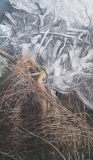 Chaos, huile, 114x198 (4) - La genèse de l'oeuvre 