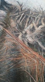 Chaos, huile, 114x198 (9) - La genèse de l'oeuvre 