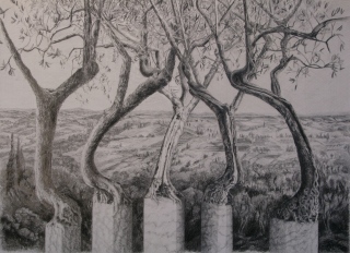 Olivier, mise en scène, mine de plomb, 2019 - Olivier, mine de plomb
