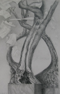 Olivier, mine de plomb, 87x102, 2019 - Olivier, mine de plomb